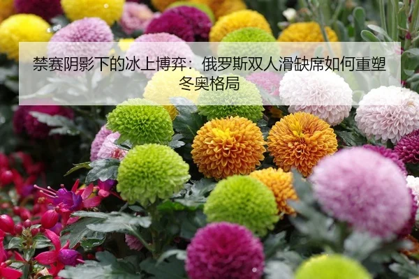 禁赛阴影下的冰上博弈：俄罗斯双人滑缺席如何重塑冬奥格局