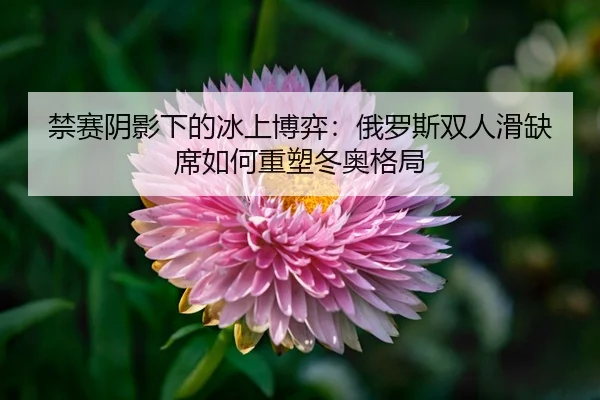 jin-sai-yin-ying-xia-de-bing-shang-bo-yi-e-luo-si-shuang-ren-hua-que-xi-ru-he-zhong-su-dong-ao-ge-ju-3-240.jpg