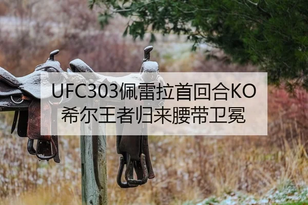 UFC303佩雷拉首回合KO希尔王者归来腰带卫冕